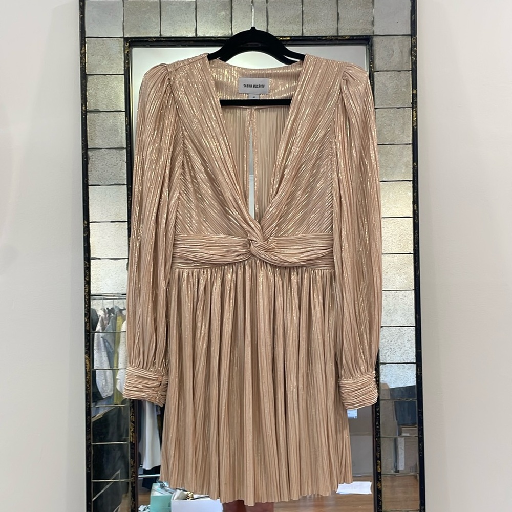 Sabina Musayev metallic pleated dress - worn once